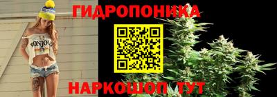 стаф Краснодар