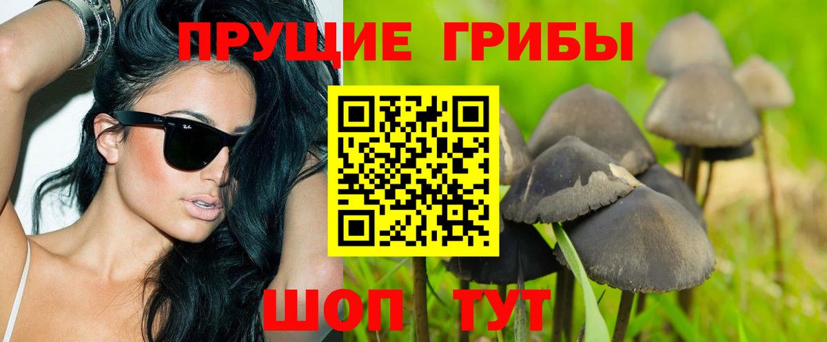 Знаменск  Галлюциногенные грибы Magic Shrooms  Вход с VPN 
